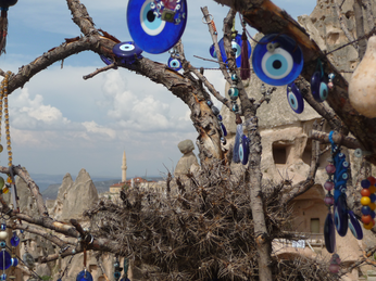 P1040616.JPG 3456x2592 index 372